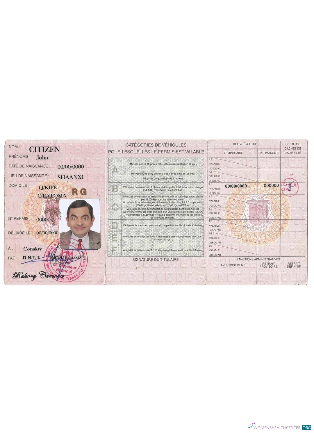 download Guinea driving license
